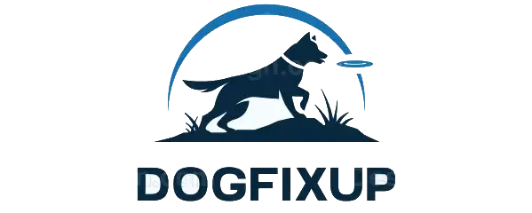 Dressage pour chiens anxieux ou peureux Méthodes douces et rassurantes Techniques de désensibilisation et renforcement positif
